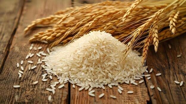 Wholesale Rice Supply