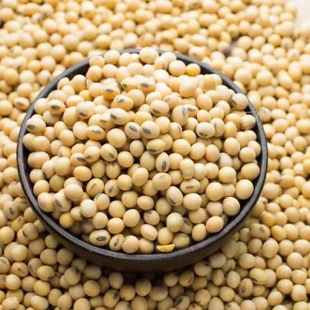 Soybeans